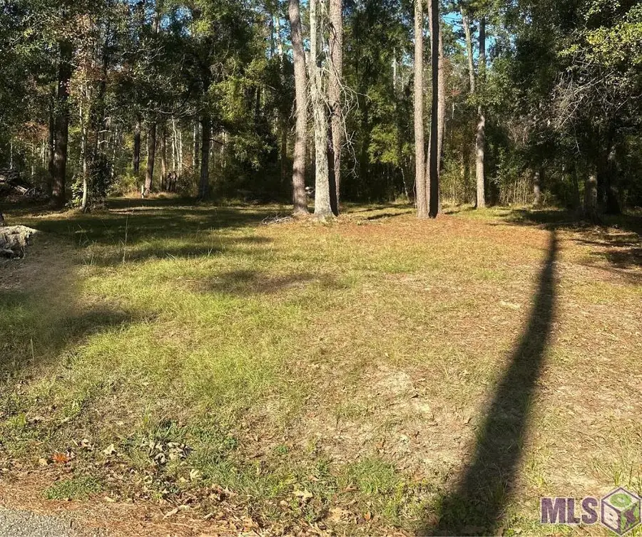 31581 River Pines Dr, Springfield, LA 70462 - #2