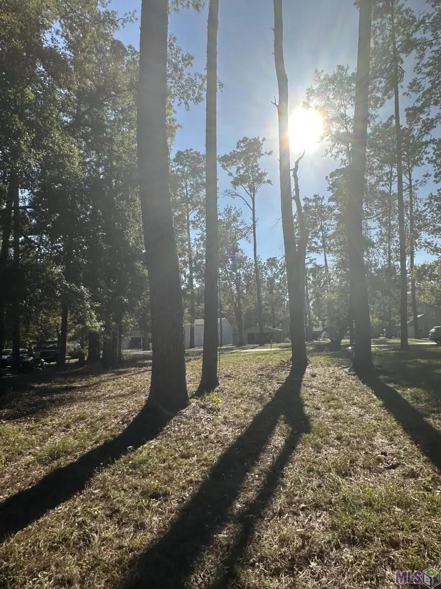 31581 River Pines Dr, Springfield, LA 70462 - #3