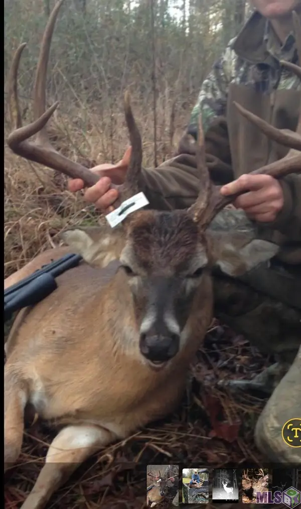 TBD Whitestown Rd, St. Francisville, LA 70775