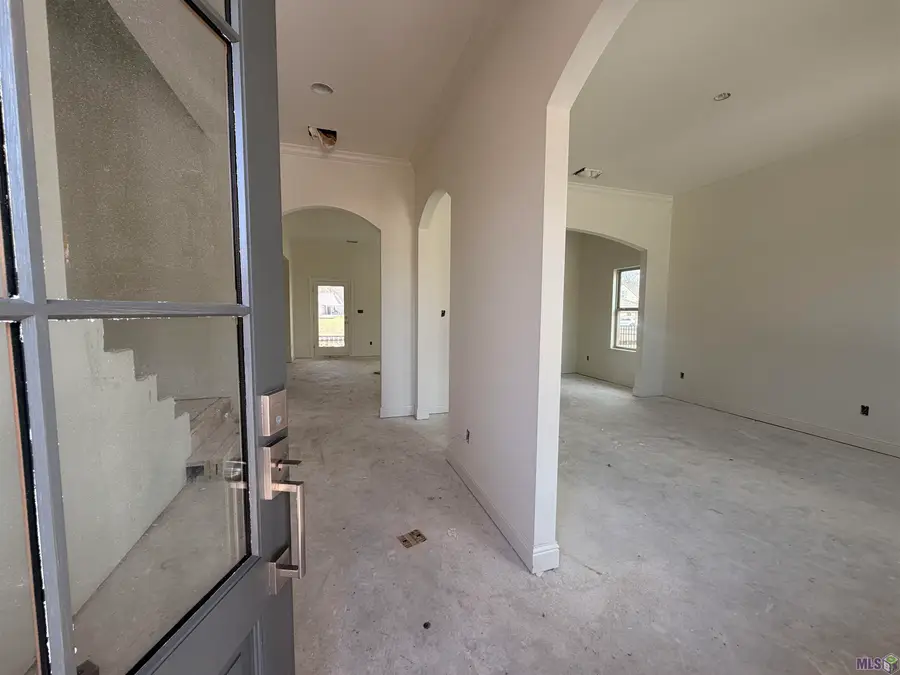 21513 Bluefin Dr, Springfield, LA 70462 - #3