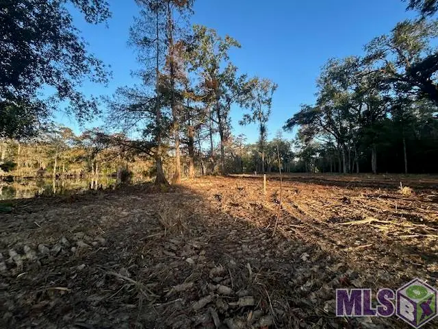 14251 Old River Rd, Maurepas, LA 70449 - #1