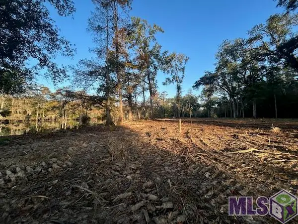 14251 Old River Rd, Maurepas, LA 70449