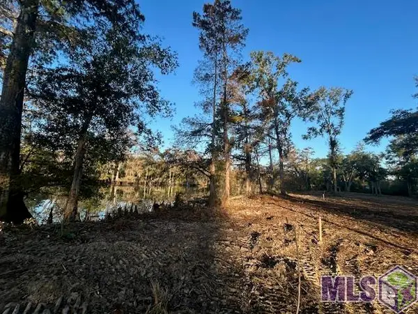 14281 Old River Rd, Maurepas, LA 70449