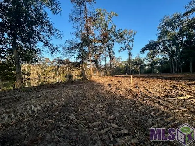 14287 Old River Rd, Maurepas, LA 70449 - #3