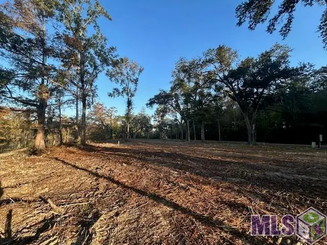 14299 Old River Rd, Maurepas, LA 70449 - #3