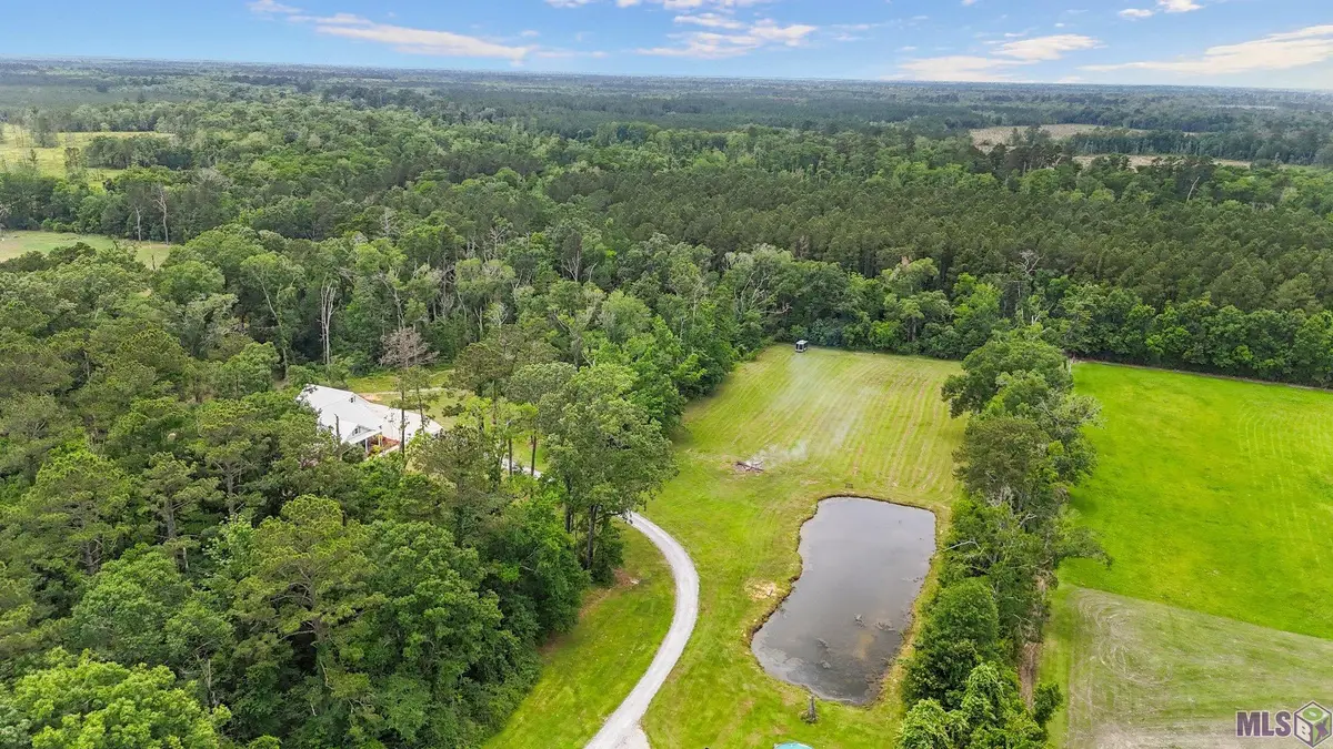 19397 La Hwy 42, Livingston, LA 70754 - #1