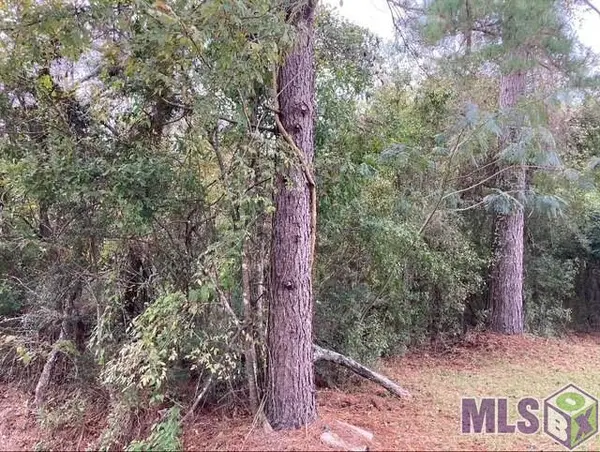 Lot 13 & 14 Lucien St, Denham Springs, LA 70726