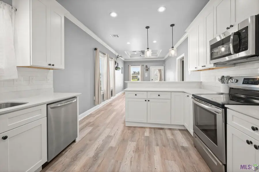 26309 Riverscape Dr, Springfield, LA 70462 - #3