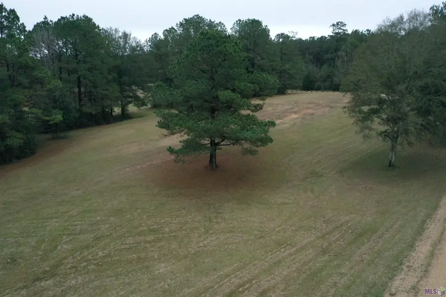 Lot 4-B-1 La Hwy 421, Saint Francisville, LA 70775 - #2