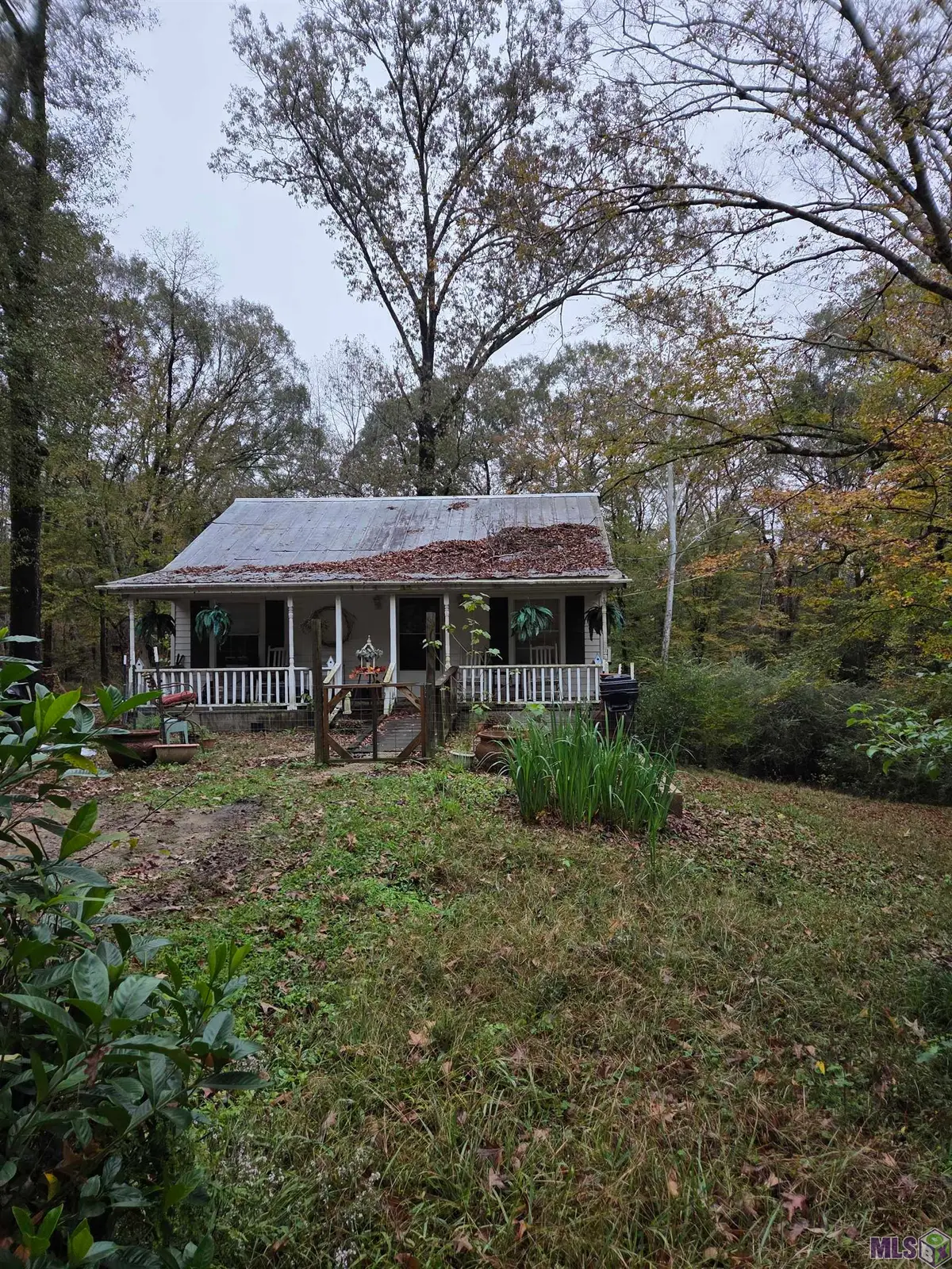 126 Sumrall, Woodville, MS 39669 - #1