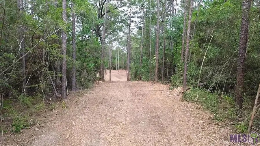 83234 Isabel Swamp Road, Bush, LA 70431 - #3
