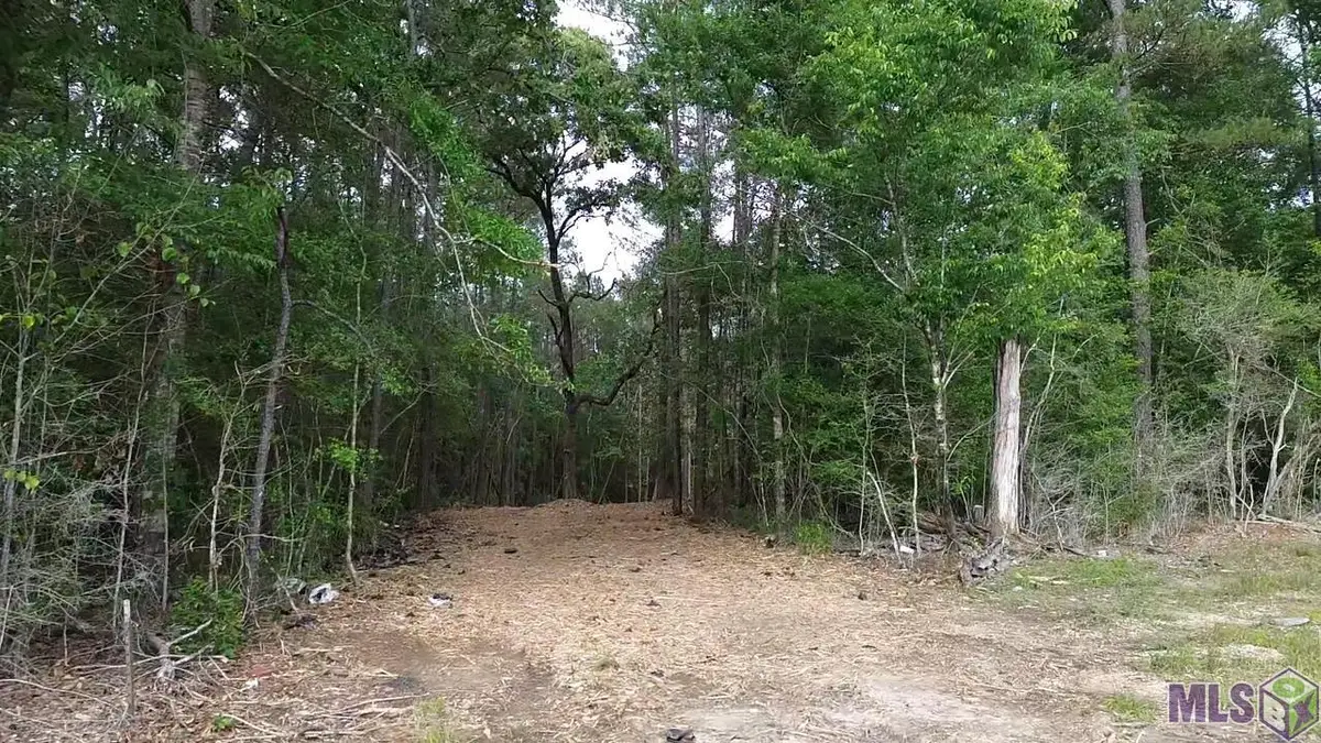 83166 Isabel Swamp Road, Bush, LA 70431 - #1