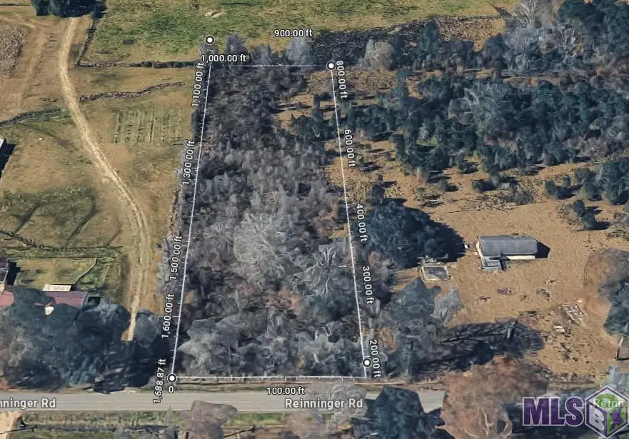 TBD Tract AP-4 Reinninger Rd, Denham Springs, LA 70706 - #3