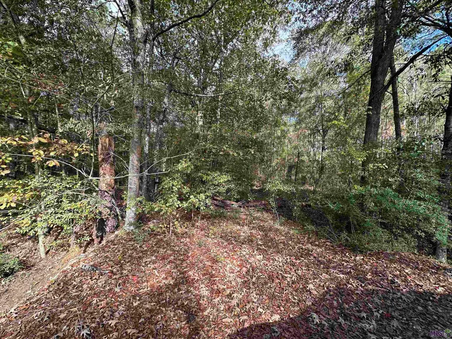 14087 LOT 4 Jackson Rd, Zachary, LA 70791 - #3