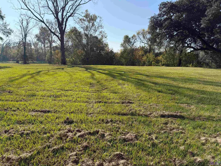 B-1 Patin Dyke Rd, Ventress, LA 70783 - #3