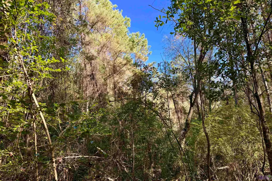 01 Bobcat Lane, Amite, LA 70422 - #2
