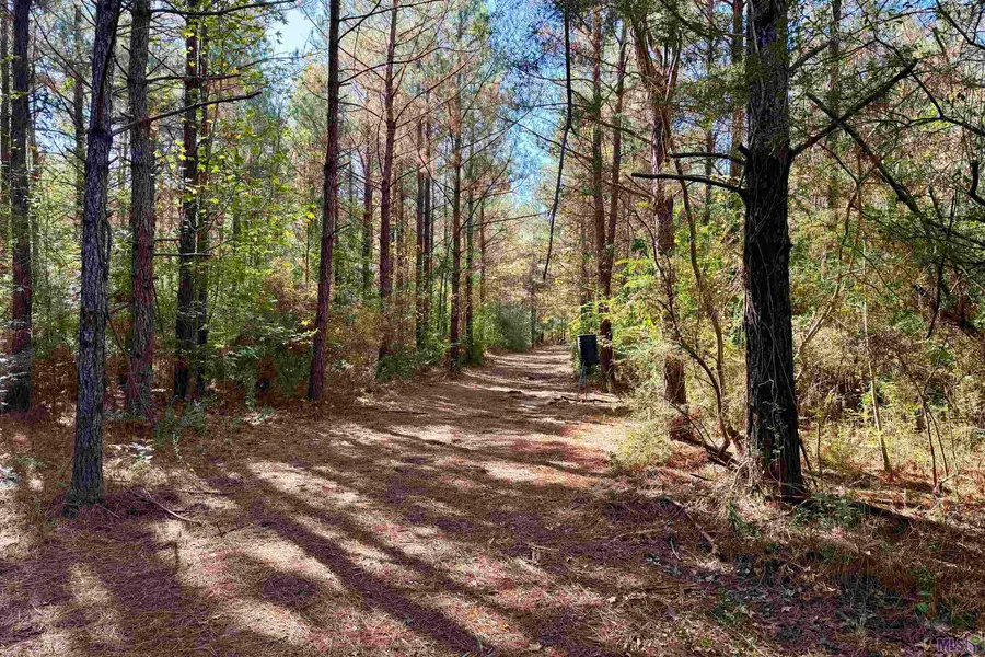 03 La Hwy 1047, Amite, LA 70442 - #2