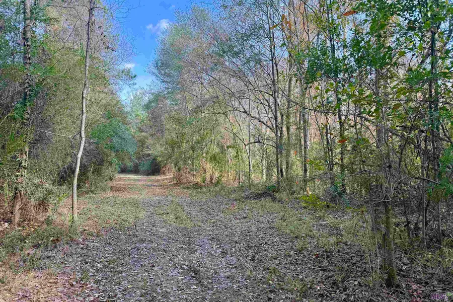 03 La Hwy 1047, Amite, LA 70442 - #3