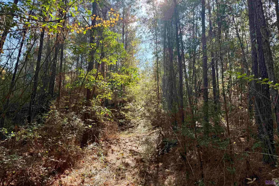 02 Hwy 1046, Amite, LA 70442 - #2