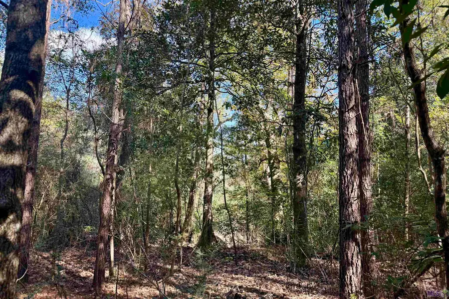 02 Hwy 1046, Amite, LA 70442 - #3