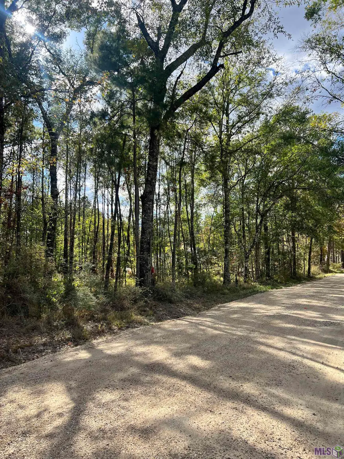 Lot 53 Nesom Rd, Denham Springs, LA 70706 - #1