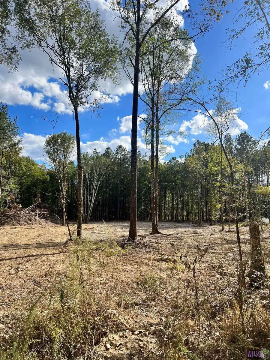 Lot 53 Nesom Rd, Denham Springs, LA 70706 - #2