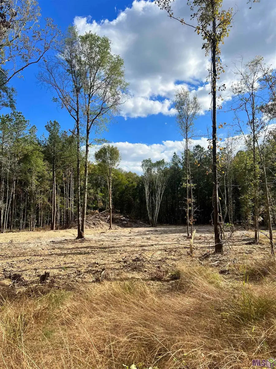 Lot 53 Nesom Rd, Denham Springs, LA 70706 - #3