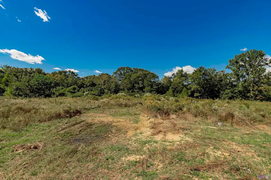 2452 Gore Rd, Baton Rouge, LA 70807 - #3