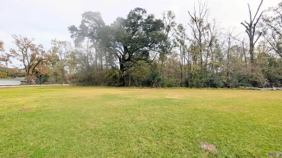 42575 La Hwy 42, Prairieville, LA 70769 - #2