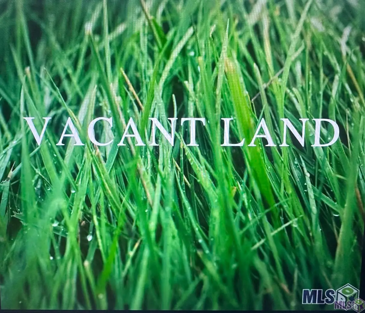 26110 Juban Rd, Denham Springs, LA 70726 - #1