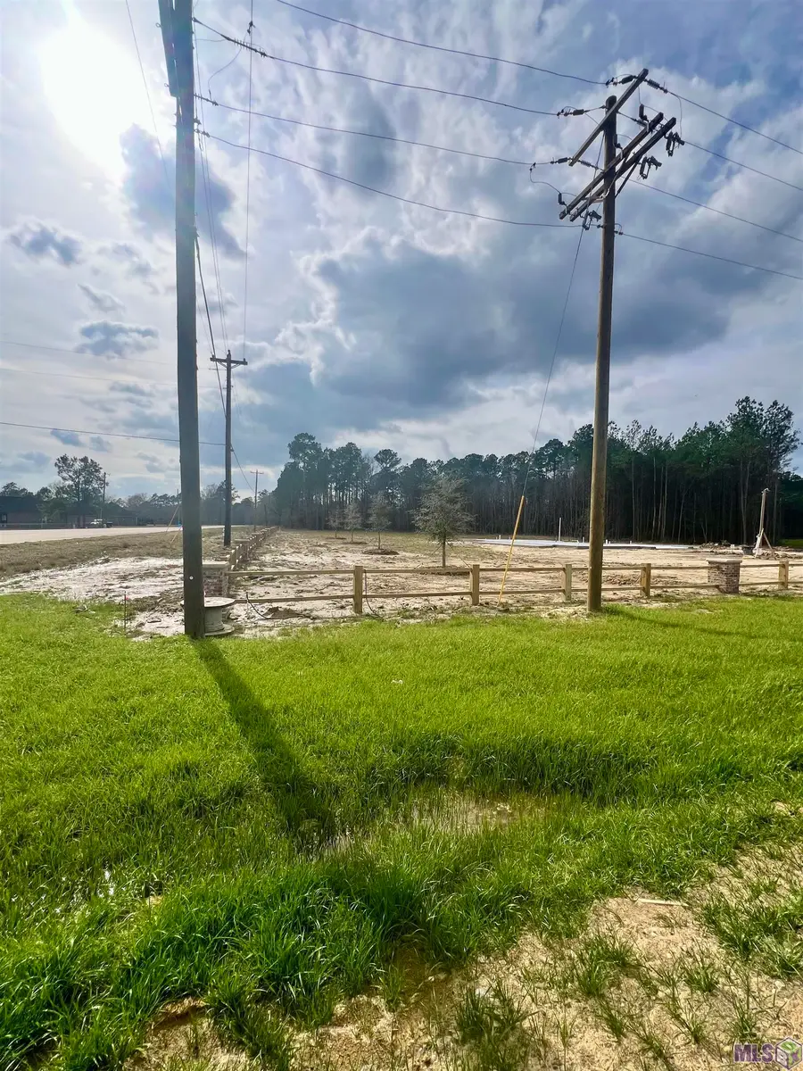 Lot 21 Honey Grove, Livingston, LA 70754 - #3