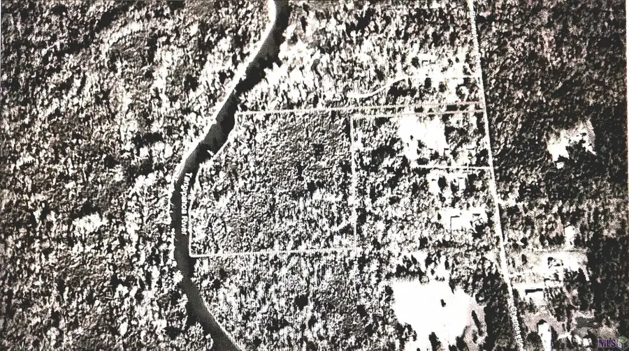 TBD Chemekette Rd, Robert, LA 70455 - #3