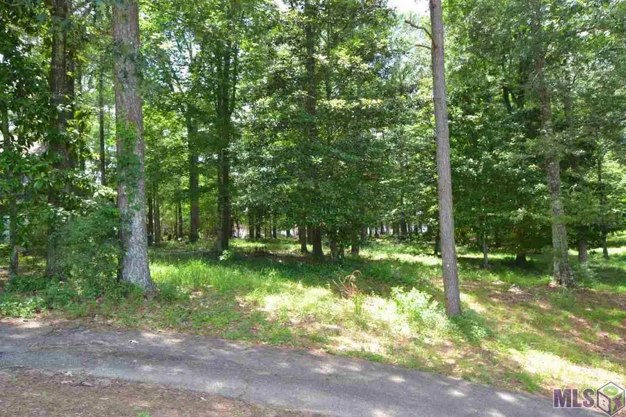 5804 Laurel Hill Ln, Saint Francisville, LA 70775 - #3