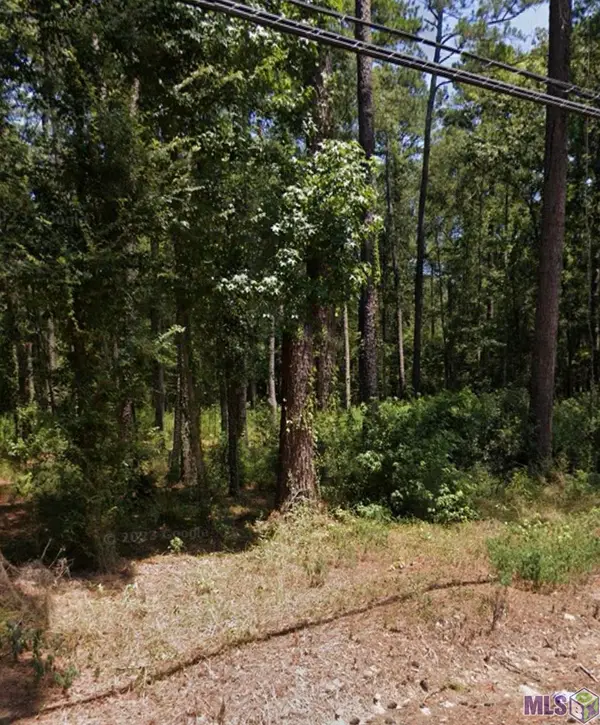 37153 Caraway Rd, Denham Springs, LA 70706