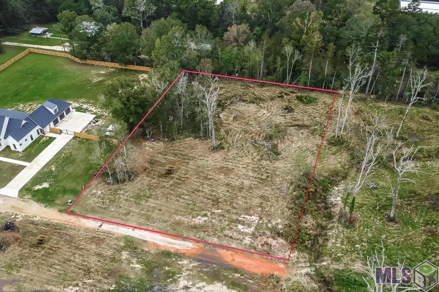 34079 Pasture 1024 Ln, Denham Springs, LA 70706 - #2