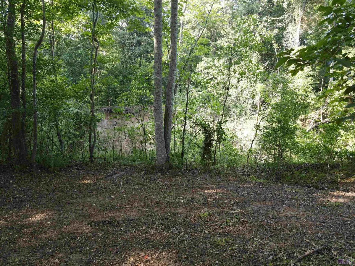 Lot 47 Treakle Dr, Zachary, LA 70791 - #1