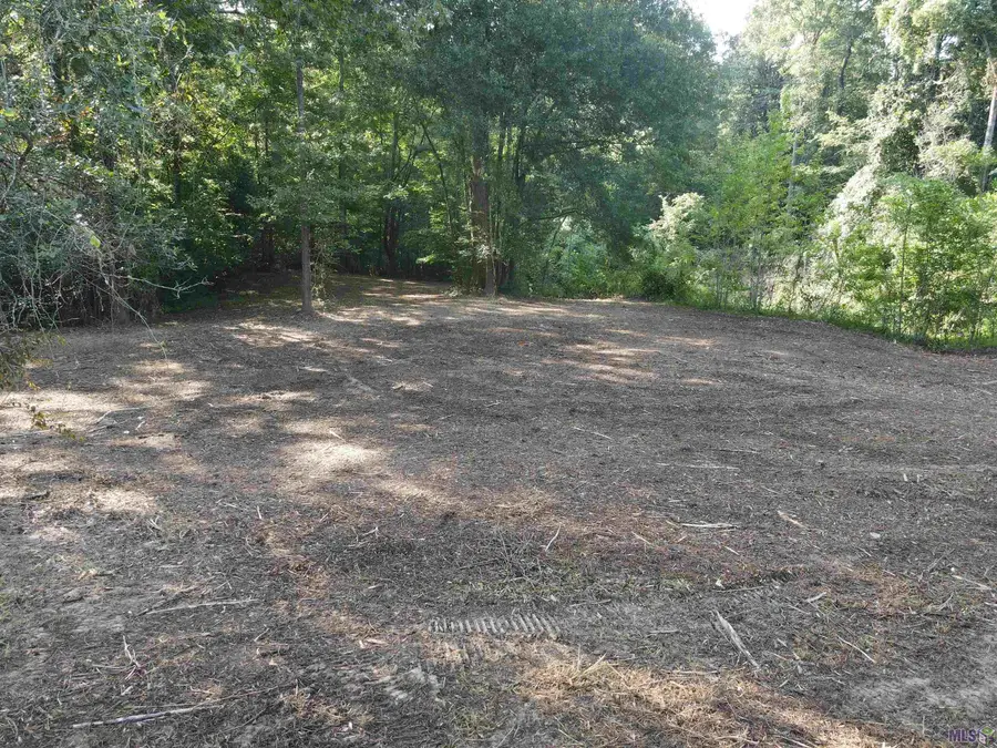 Lot 47 Treakle Dr, Zachary, LA 70791 - #2