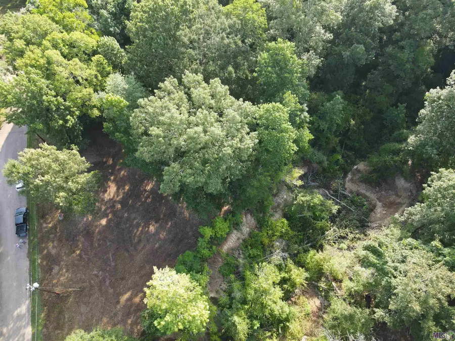 Lot 47 Treakle Dr, Zachary, LA 70791 - #3