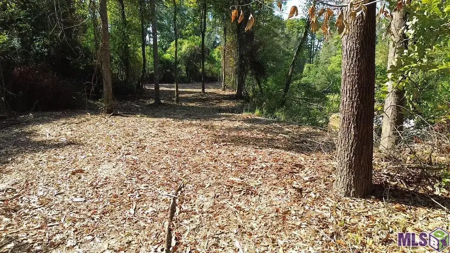 Tract R-1-B Hwy 43, Independence, LA 70443 - #3