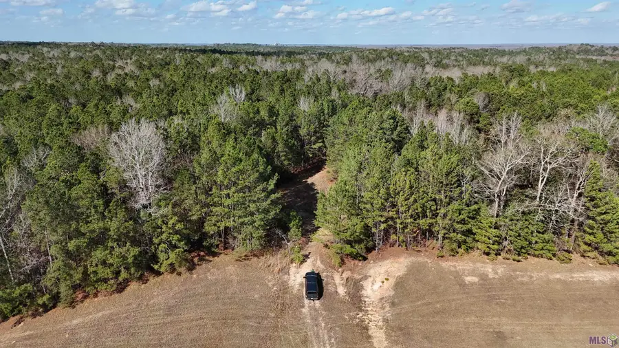 La Hwy 28 E, Boyce, LA 71409 - #2