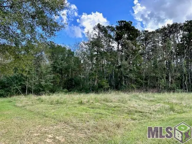 19348 Plantation Trace Dr, Livingston, LA 70754 - #1