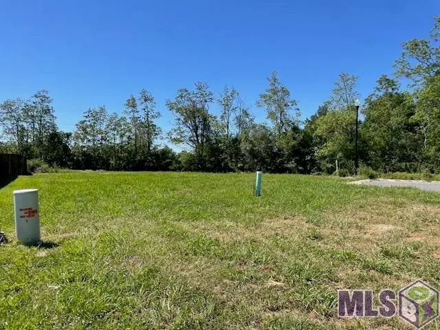 17457 Bull Rush Ave, Prairieville, LA 70769 - #3