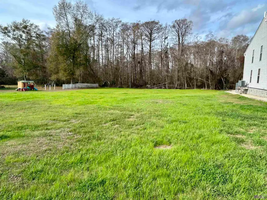 26265 Riverscape Dr, Springfield, LA 70462 - #2