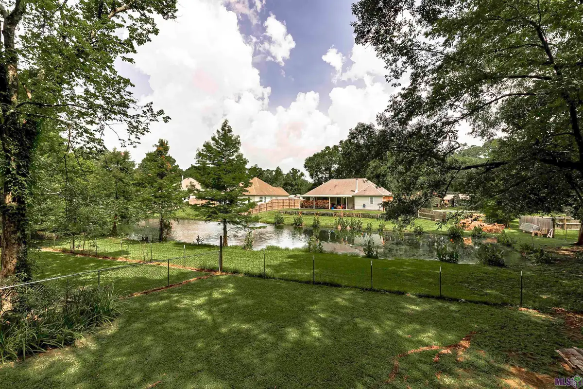 731 Castlewood St, Denham Springs, LA 70726 - #1