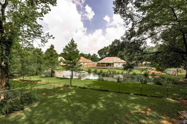 731 Castlewood St, Denham Springs, LA 70726