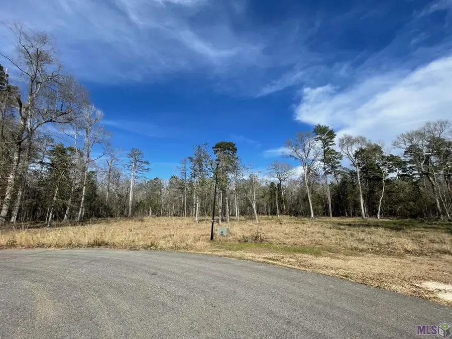Lot 9 Ridgeway Ave, Denham Springs, LA 70726 - #3