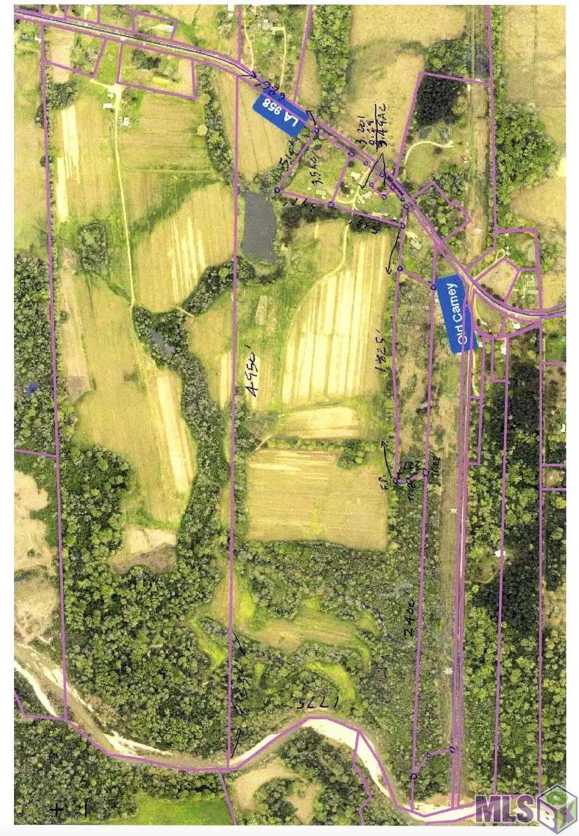 TBD La Hwy 958, Slaughter, LA 70777 - #1