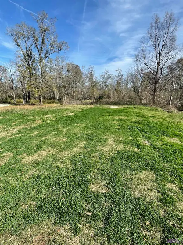 8386 Phillips Rd, St. Amant, LA 70774