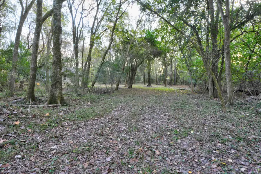 9175 Old Comite Drive, Central, LA 70714 - #3