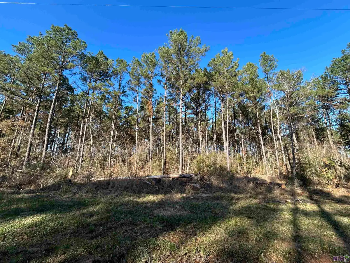 Lot 15 Butterbean Ridge, Livingston, LA 70754 - #1